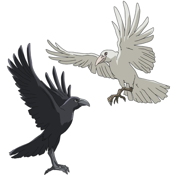 Huginn Muninn