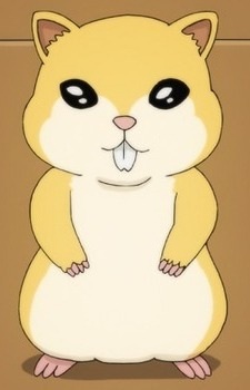 Riki Jr No 2