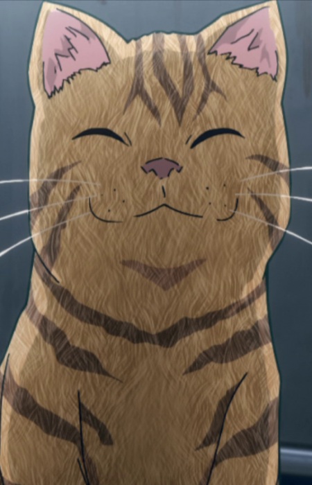 Monster Cat