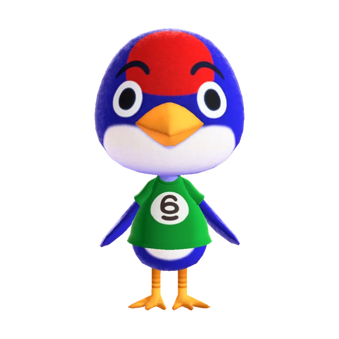 Jay