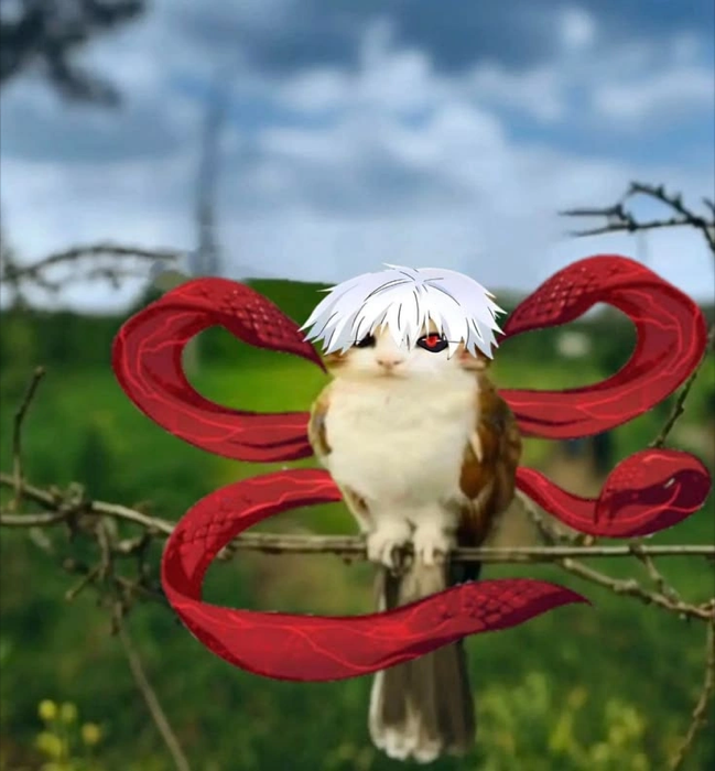One Eyed Reaper