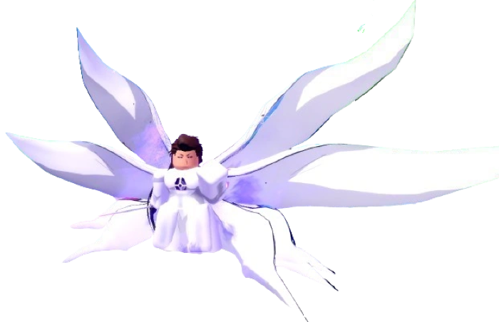 Aizon Hogyoku Evo