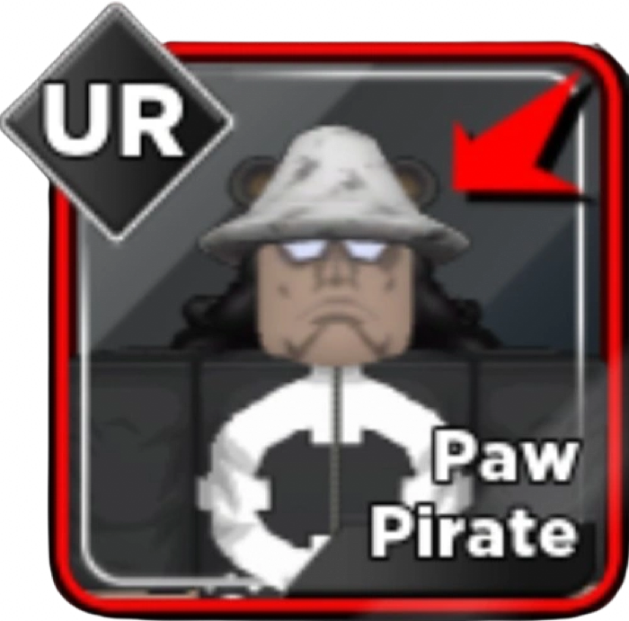 Paw Pirate