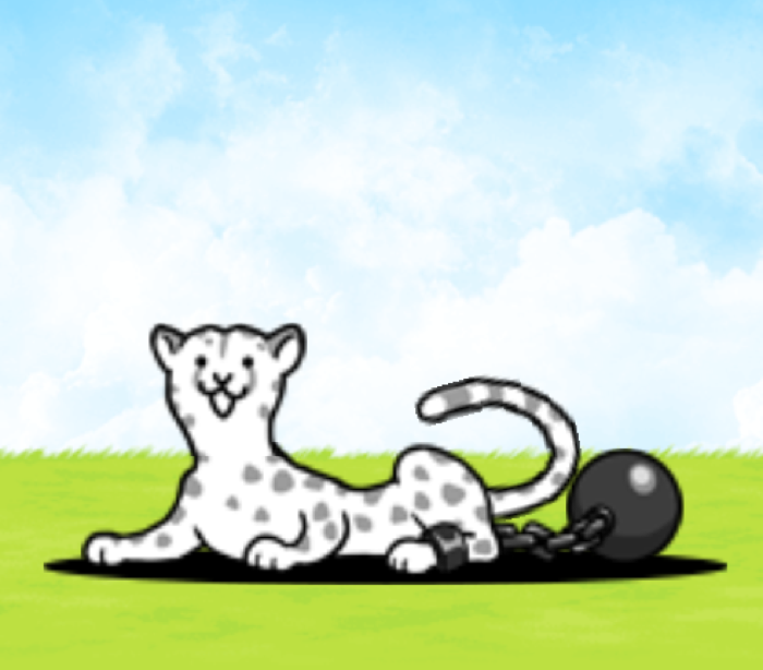 Cheetah Cat