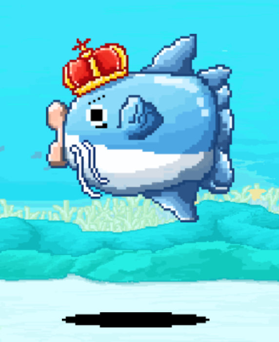 Mola King