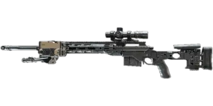 M2010 Esr