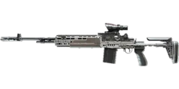 M39 Emr