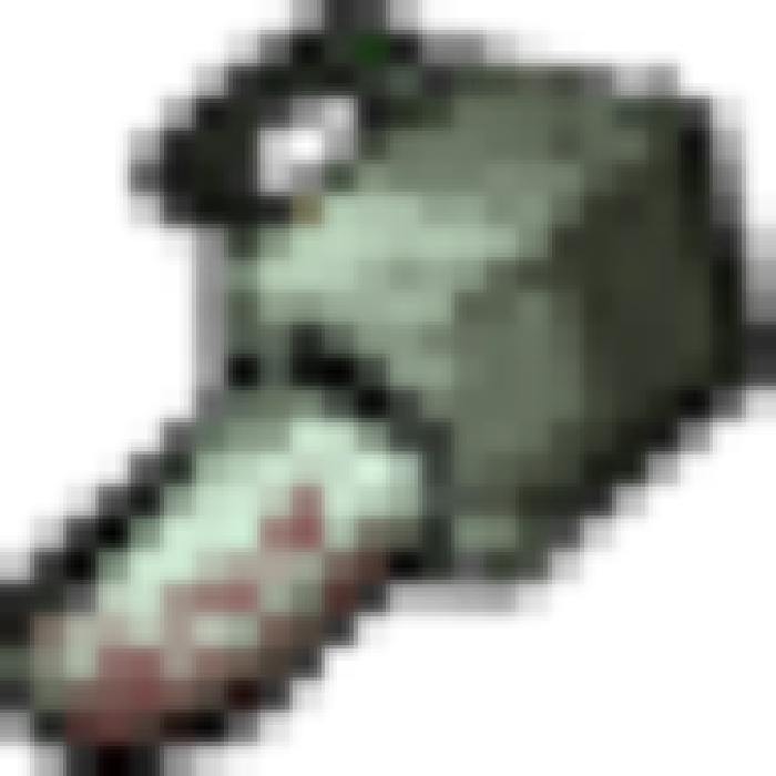 Butcher S Chainsaw