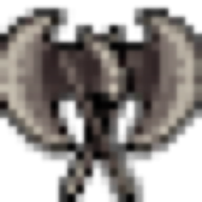 Leiden S Twin Axes
