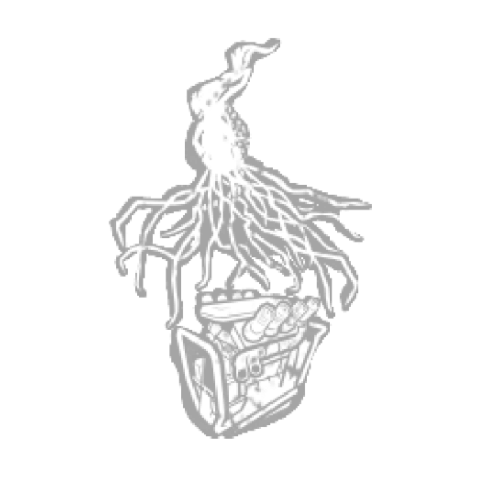 Eruption