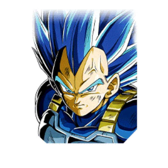 True Warrior Race Super Saiyan God Ss Evolved Vegeta