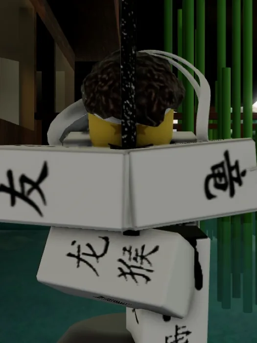 Light Ninja Shedletsky