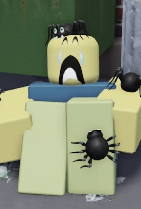 Spiders Noob