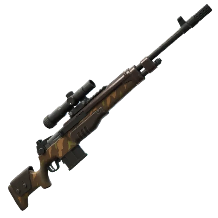 Dmr