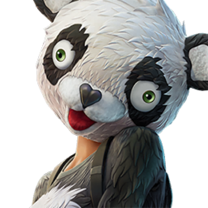 P A N D A Team Leader
