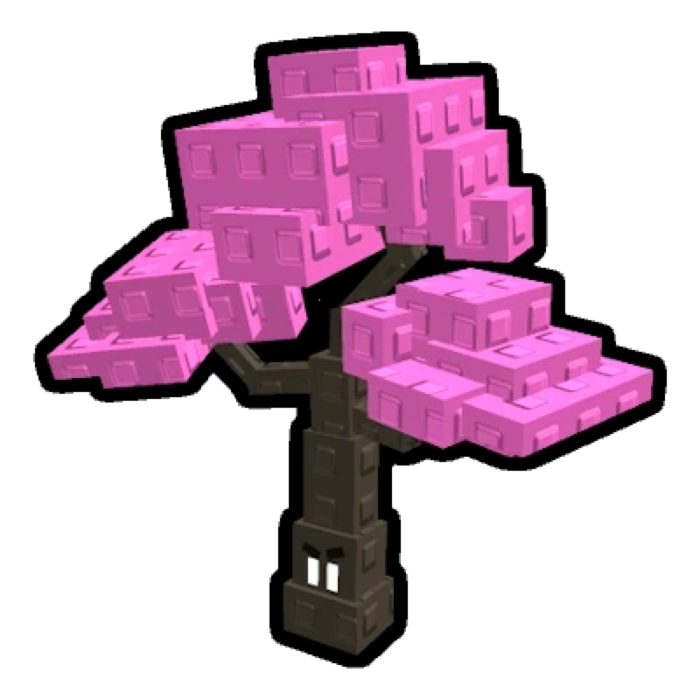 Cherry Blossom