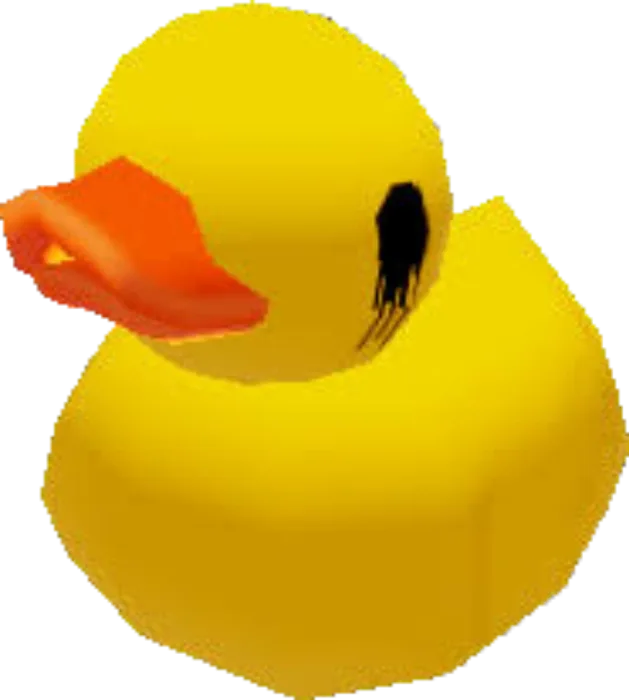 Duk