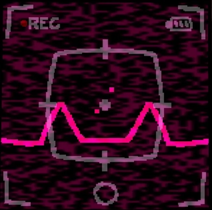 S N A P