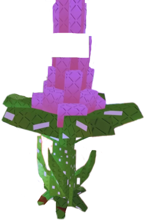 Blooming Cactus