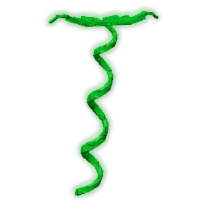 Coilvine