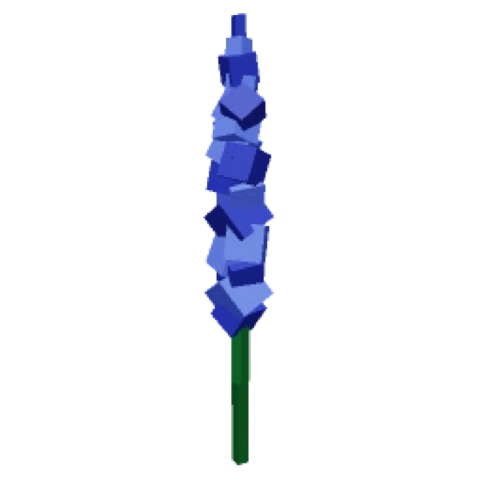 Delphinium