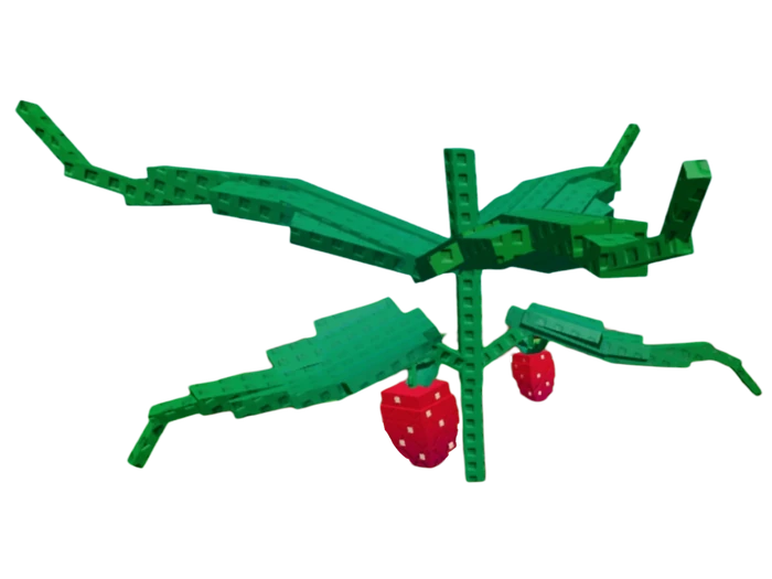 Elder Strawberry