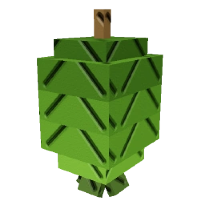 Feijoa