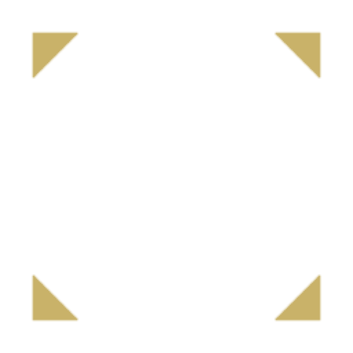 Seismic Probe
