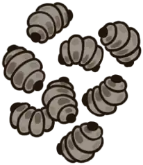 Muckmaggot