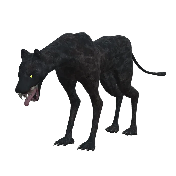 Feiopar