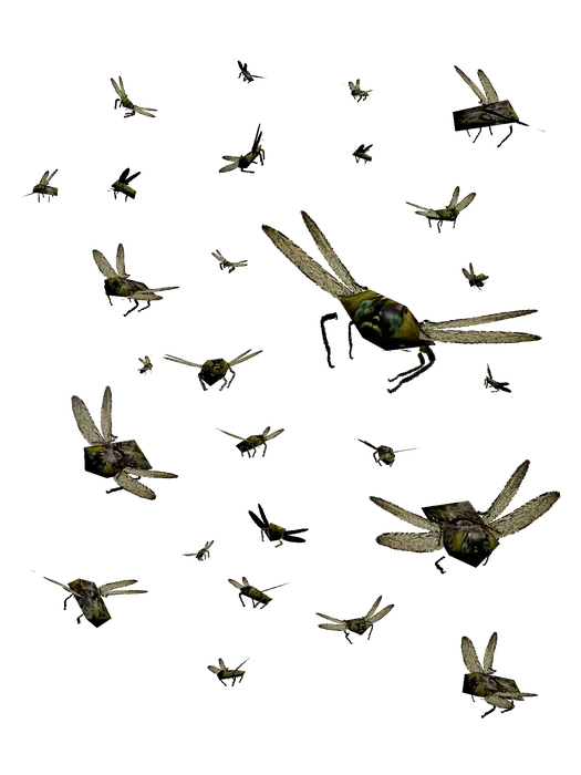 Roaming Locust