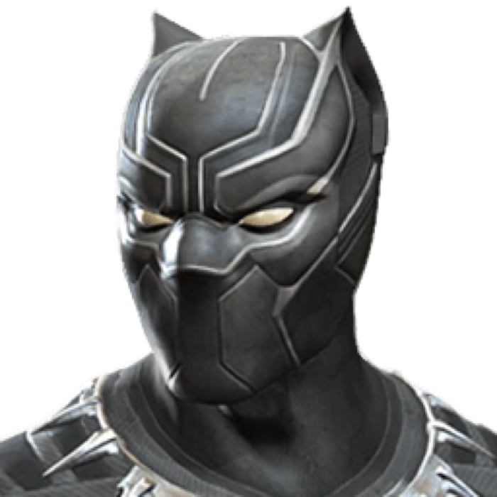 Black Panther Civil War