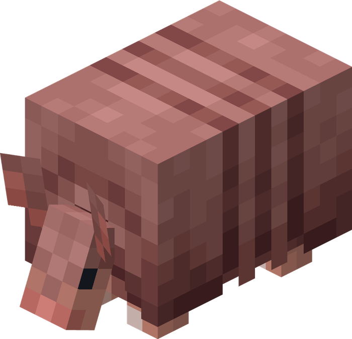 Armadillo