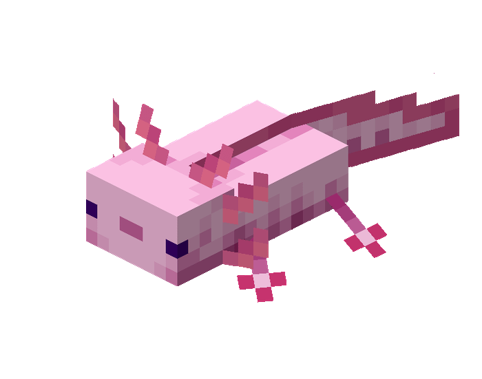 Axolotl