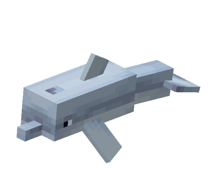 Dolphin