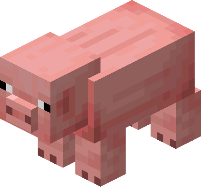 Pig