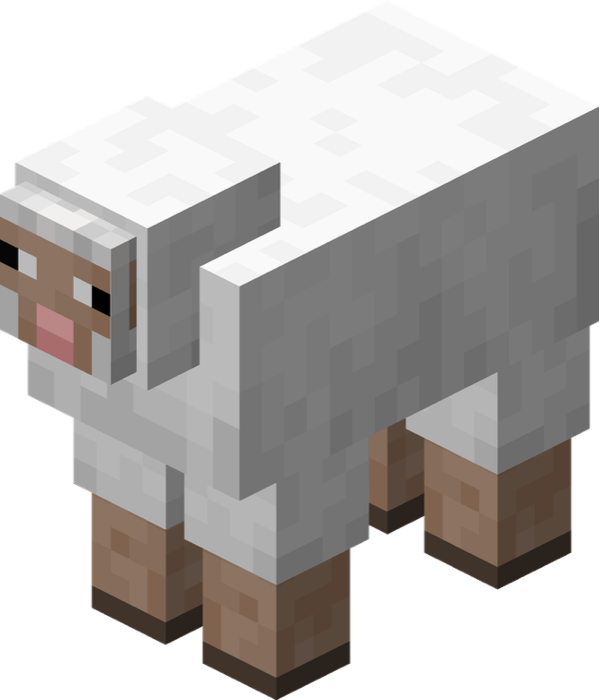 Sheep
