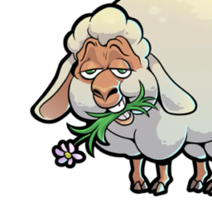 Sheep