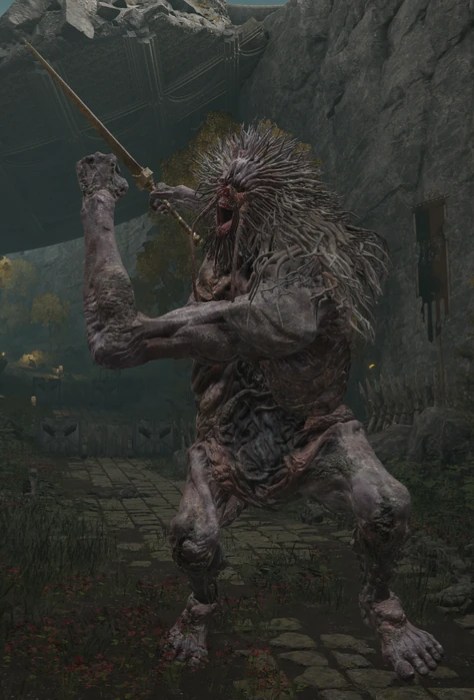 Frenzied Troll
