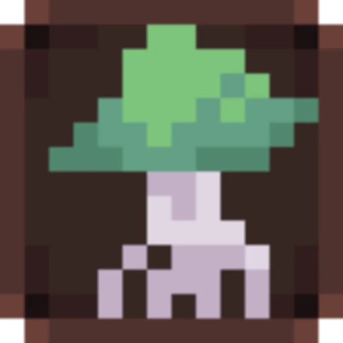 Fungal Colony
