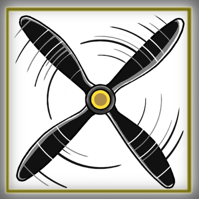 Spin