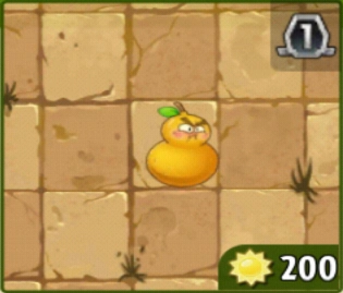 Fire Gourd