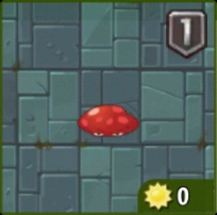 Flat Shroom