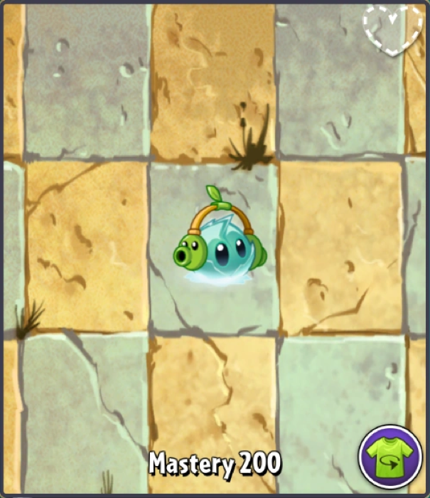 Iceberg Lettuce