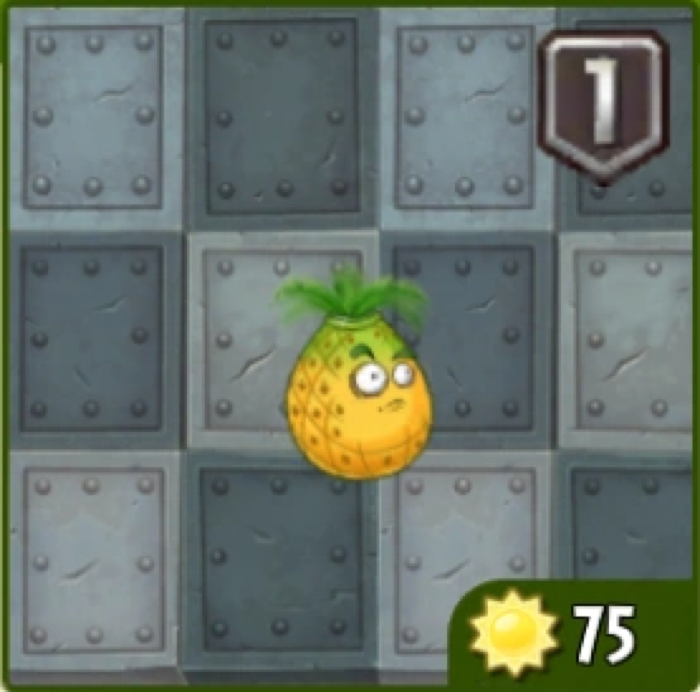 Pineapple