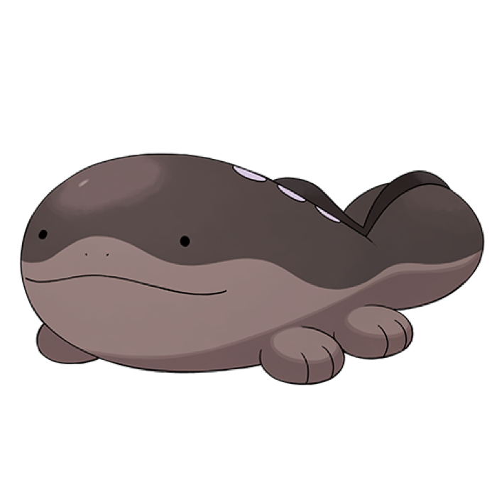 Clodsire