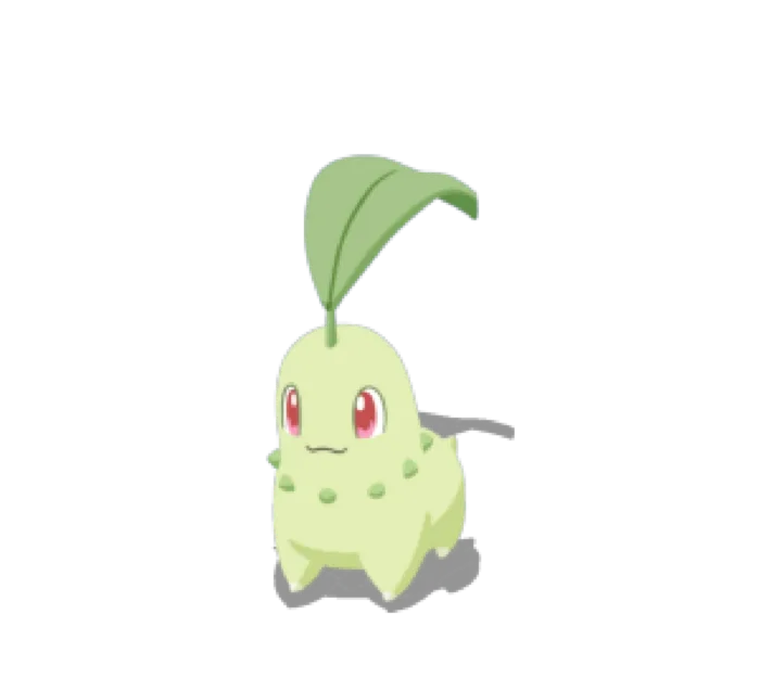 Chikorita