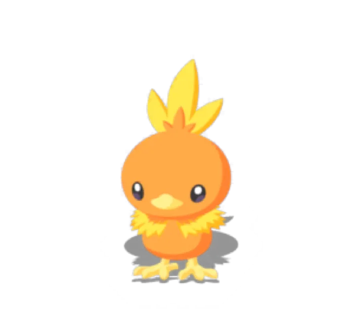 Torchic