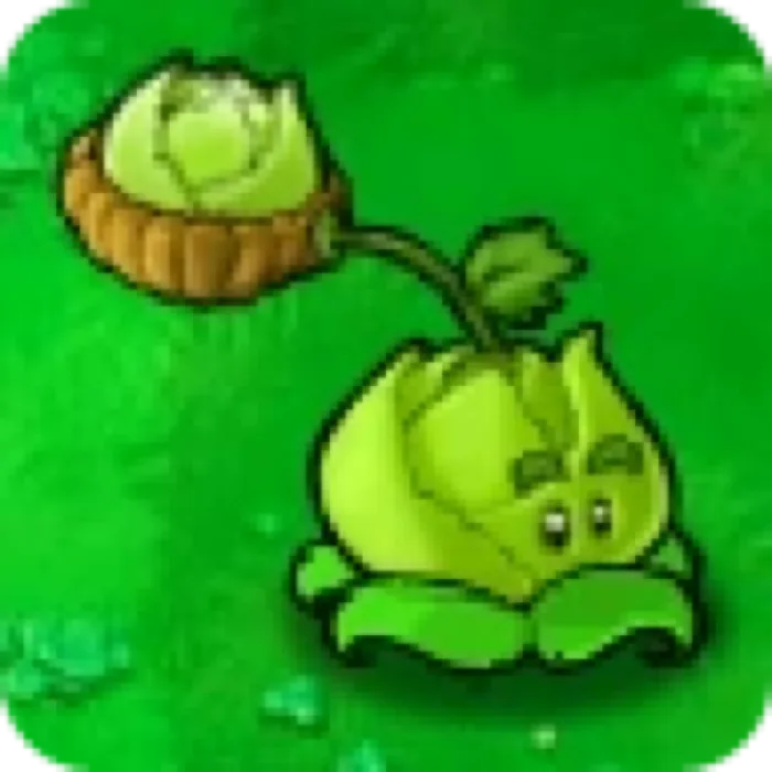 Cabbage Pult