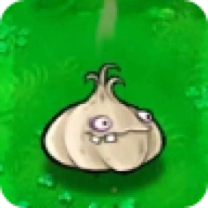 Garlic